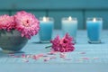 Pink chrysanthemum flowers with candles