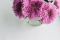 Purple chrysanthemums in a vase with water