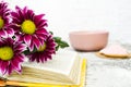 Pink Chrysanthemum. Maroon flowers with a yellow center lie on the open book of love. Blurred background