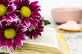 Pink Chrysanthemum. Maroon flowers with a yellow center lie on the open book of love. Blurred background