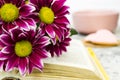 Pink Chrysanthemum. Maroon flowers with a yellow center lie on the open book of love. Blurred background