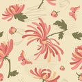 Růžový chryzantémy vzor 