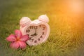 Pink clock with flower on grass background.