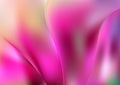 Pink Close Up Element Background Vector Illustration Design