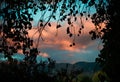 Pink cloud sunset over the mountains through leaves Royalty Free Stock Photo