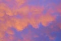 pink clouds,magical sky evening sky, pink sunset clouds Royalty Free Stock Photo