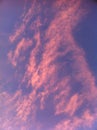 Pink clouds