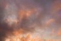 Pink clouds  in the evening sky Royalty Free Stock Photo