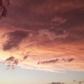 Pink clouds in the sky after the rain Royalty Free Stock Photo