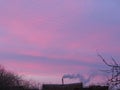 Pink clouds in the sky during sunset. Smoke from a chimney against a pink sky