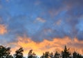 Pink clouds at sunset above treetops