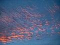 Pink Clouds sunset sky scattered Royalty Free Stock Photo