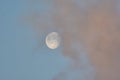 Morning moon in pink clouds