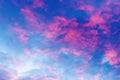 Pink clouds on vibrant blue sunset sky as natural background Royalty Free Stock Photo