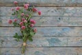 Pink clover flovers in a Bouquet against a Green wooden background.Bound by a Brown rope