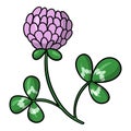 Pink clover flower with leaves, flower for collecting honey, vector illustration in cartoon style