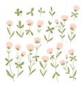 Pink clover flowers isolated on the white background. Vector floral set. Cute hand-drawn natural elements