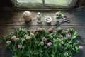 Pink clover flowers, mortar, clover tincture or infusion, scissors and jute on wooden table.