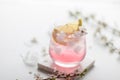 Pink Cocktail with Ice, white backgroung, copy space Royalty Free Stock Photo