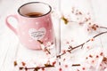 Pink coffee mug and white cherry flowers; spring background