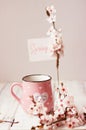 Pink coffee mug, white cherry flowers and `Spring` note; spring background Royalty Free Stock Photo