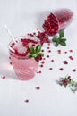 Pink cold berry cocktail with scattered lingonberry, ice and green leaves in sunbeam on white wooden table, vertical.