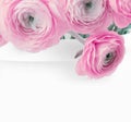 Pink color anemone flower bouquet on light background