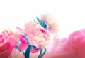 Pink color anemone flower bouquet on light horizontal background