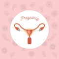 Pink color background pattern pregnancy icons with fetus human growth in placenta in female reproductive organ Royalty Free Stock Photo