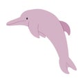 pink color river dolphin cute adorable friendly mammal animal with jump pose beautiful creature