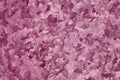 Pink color scratched metal plate surface. Royalty Free Stock Photo