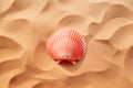 Pink color seashell lying on smooth golden sand in bright sun light top view. Summer sea life vocation holidays concept Royalty Free Stock Photo
