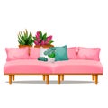 Pink color sofa with pillows and potted flowers isolated on white background. Vector cartoon close-up illustration.