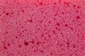 Pink color sponge texture background, close up view Royalty Free Stock Photo