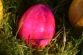 Pink colored easteregg in the mossy grass