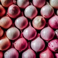 Pink colored healthy onion stock, fresh produce display Royalty Free Stock Photo