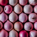 Pink colored healthy onion stock, fresh produce display Royalty Free Stock Photo