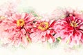 Pink colorful shape flower blooming watercolor illustration painting background.
