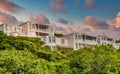 Pink Condos Over Green Trees