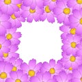 Pink Cosmos Flower Border. Vector Illustration Royalty Free Stock Photo