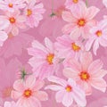 Pink Cosmos watercolor seamless pattern. Hand drawn botanical realistic illustration. Colorful flower clipart for summer