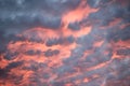 Pink cotton candy clouds at sunset Royalty Free Stock Photo