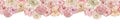 Pink and creamy roses banner. Seamless header with beautiful watercolor roses. Endless hand-drawn floral illustration
