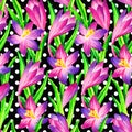 Pink crocus seamless pattern, hand paint watercolor illustration