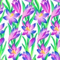 Pink crocus watercolor seamless pattern