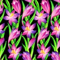 Pink crocus watercolor seamless pattern