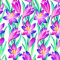 Pink crocus watercolor seamless pattern