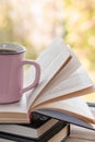 A pink cup of tea stands on a pile of open books