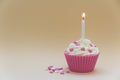 Pink cupcake with burning candle Royalty Free Stock Photo