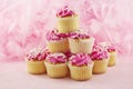 Pink Cupcakes Royalty Free Stock Photo